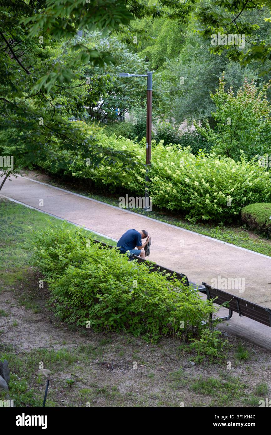 A person sitting alone on a park bench in Wonji Park along Changdeokgung-gil in Seoul. Stock Photo