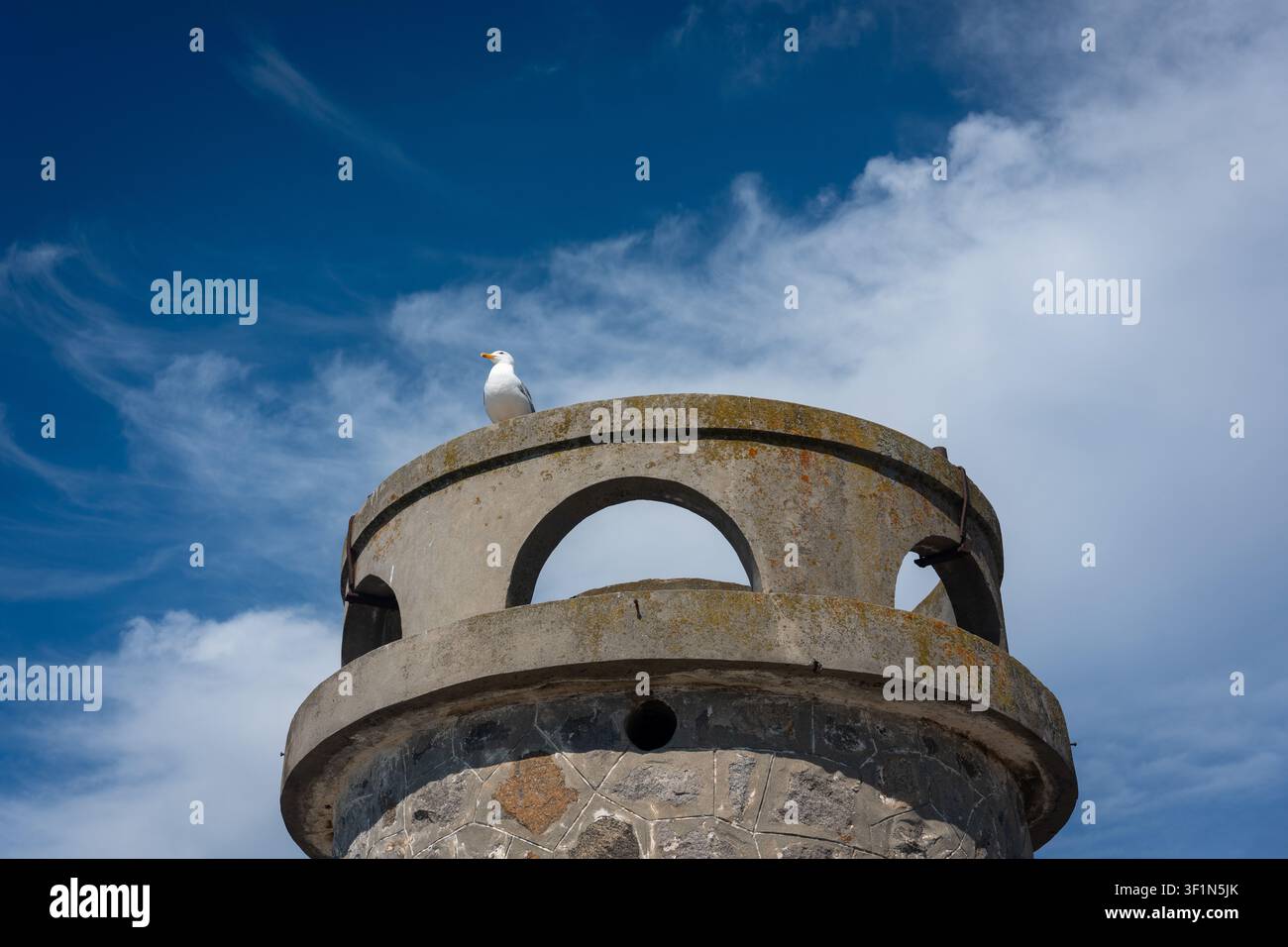Seagull Resting on an Ancient Watchtower. Stock Photo