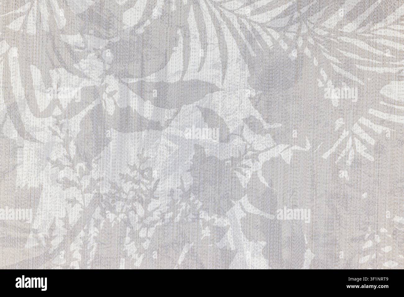 Neutral gray textured wall with tropical plant shadows Stock Photo