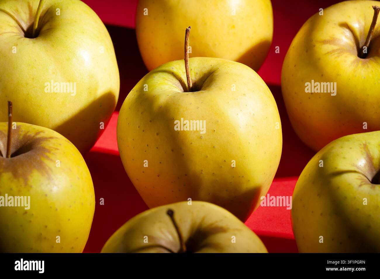 yellow apples on red background Stock Photo