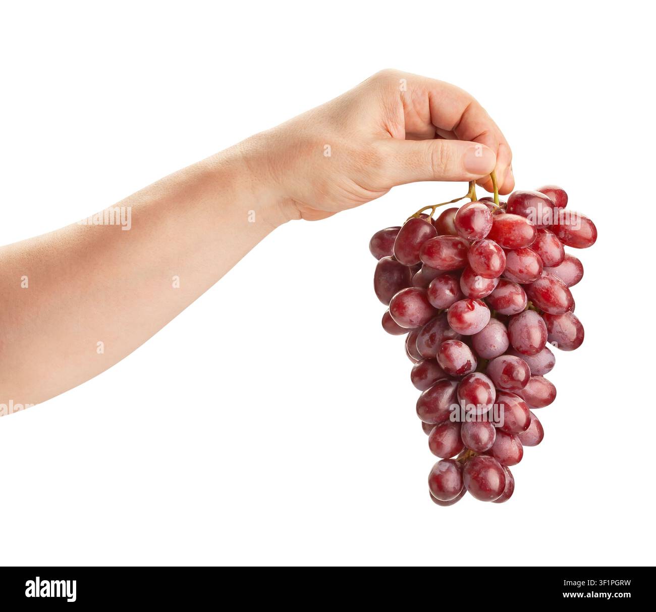 red grape in hand path isolated on white Stock Photo