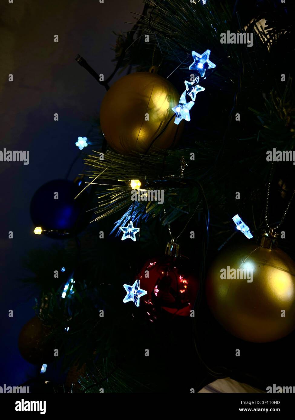Star-shaped lights, Christmas tree, Christmas Stock Photo