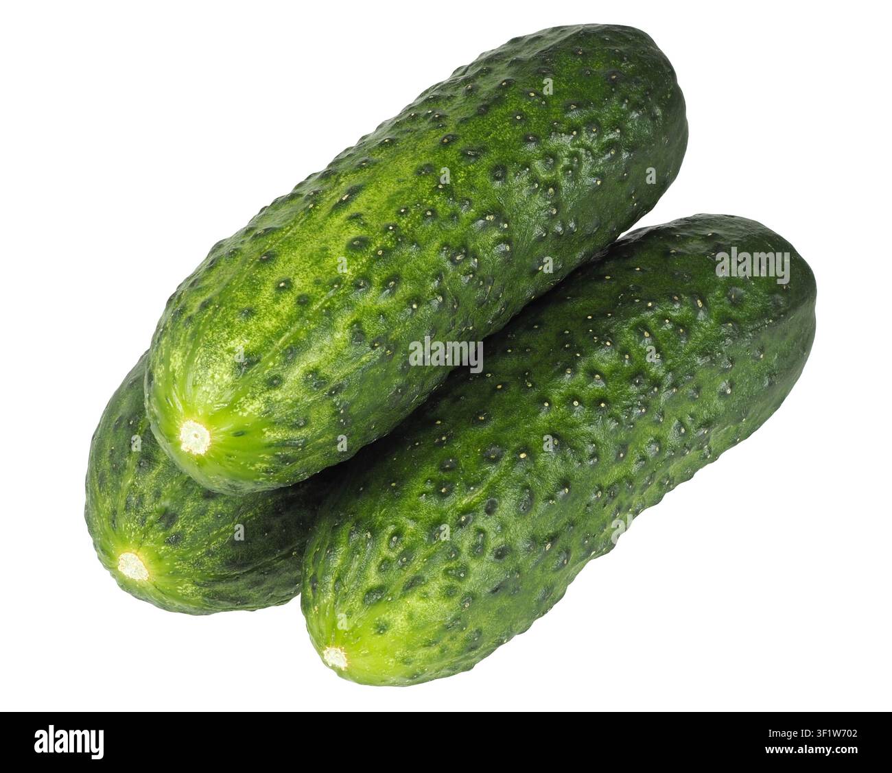 Three cucumbers isolated on white background Stock Photo