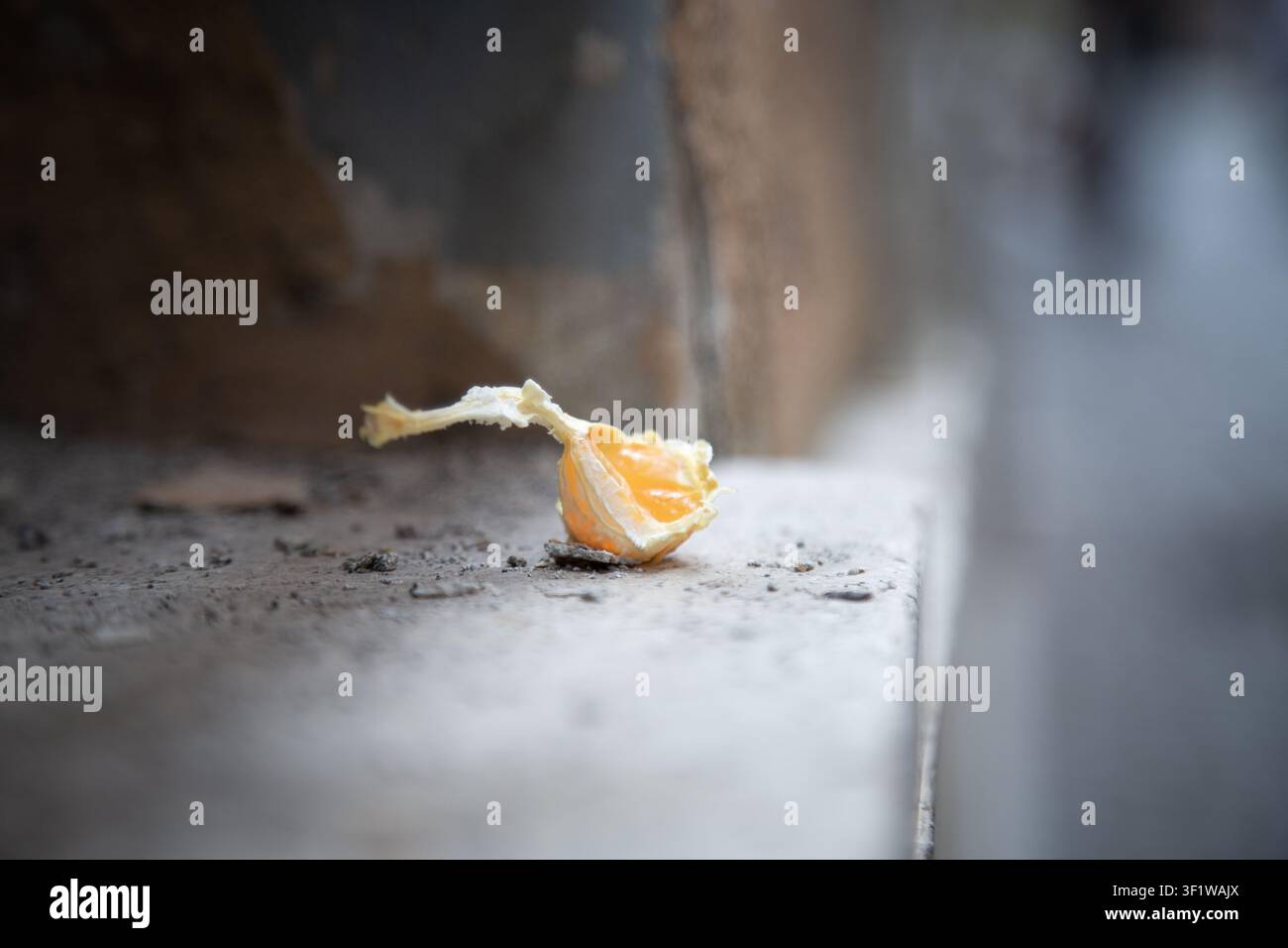 cracked open egg on outdoor concrete surface close-up neutral mood everyday objects food waste editorial content visual story design resource web Stock Photo