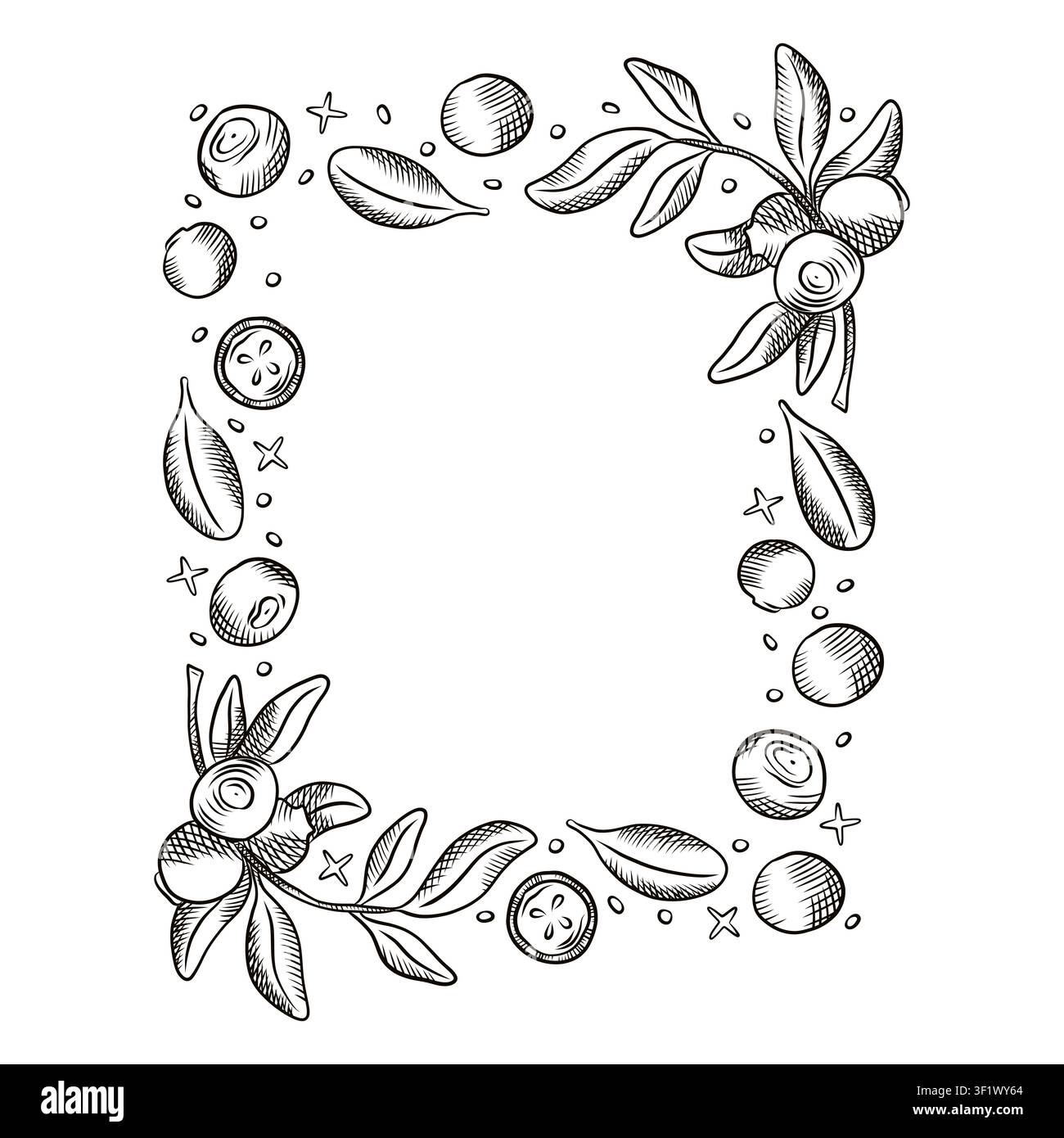 Vector frame with berries. Berries, strawberries, frame, blueberries, menus, packaging, labels, design. Stock Vector