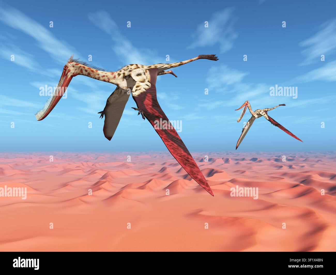 Pterosaur Pterodaustro flying over a desert landscape Stock Photo