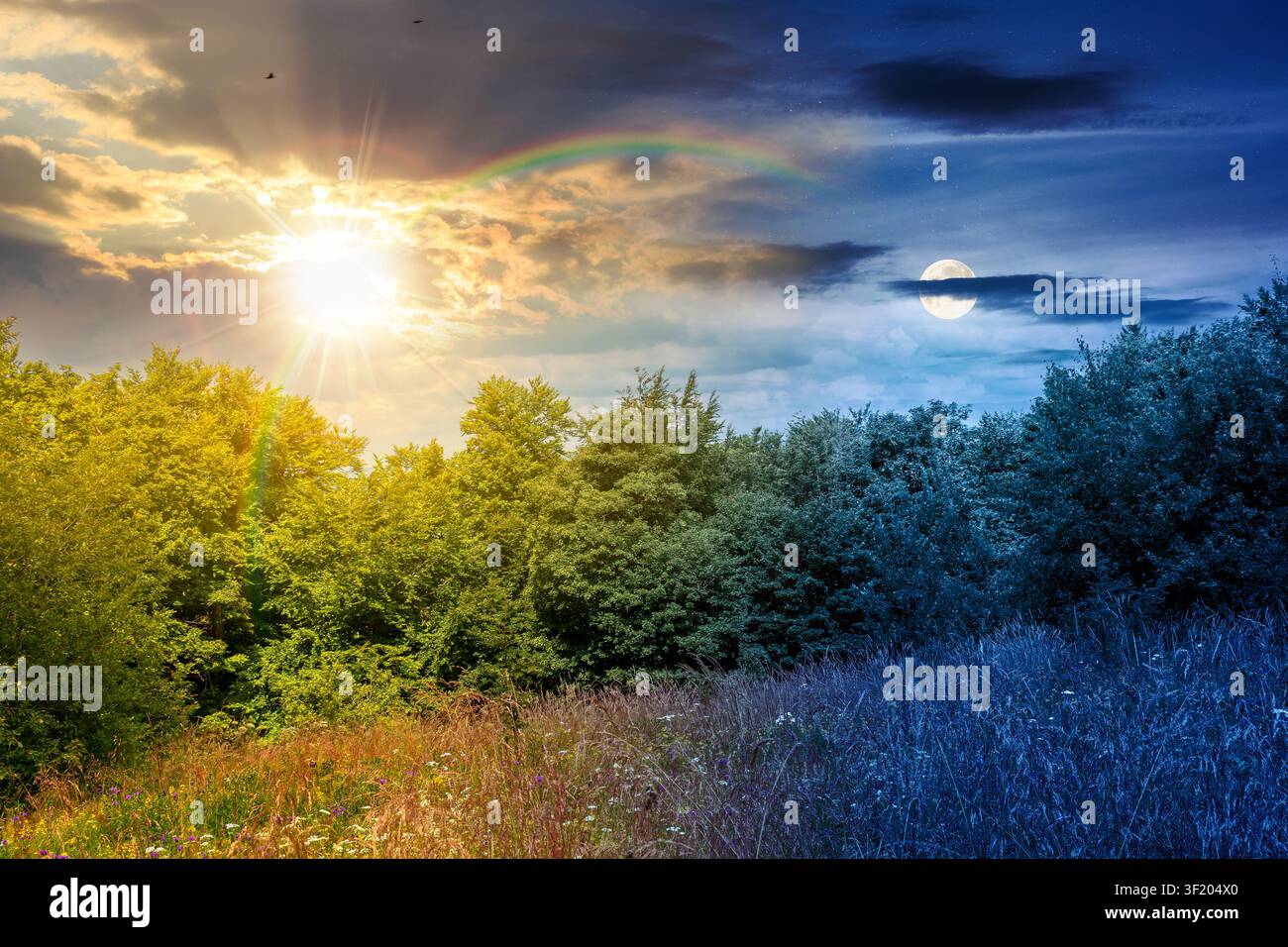 deciduous beech forest near meadow under dramatic sky. nature scenery with tall grass near forest at twilight. carpathian beech forest of ukraine. wil Stock Photo