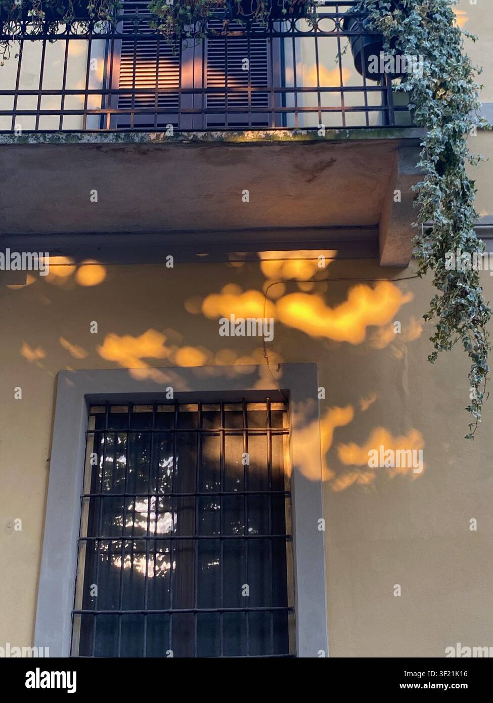 Warm light from the setting sun casting soft, painterly cloud reflections onto a textured ochre building wall and a security barred window with leafy Stock Photo