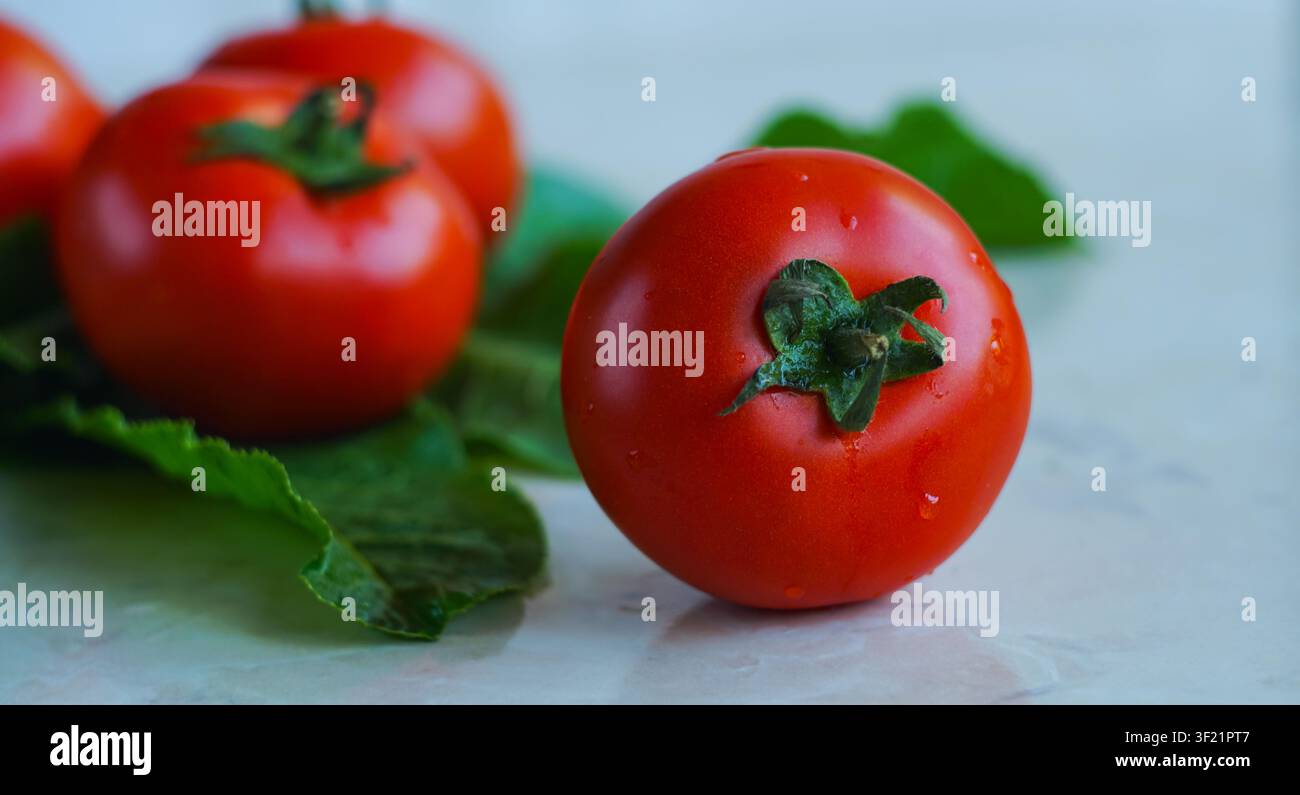 Cucumbers and tomatoes on a white background Stock Photo