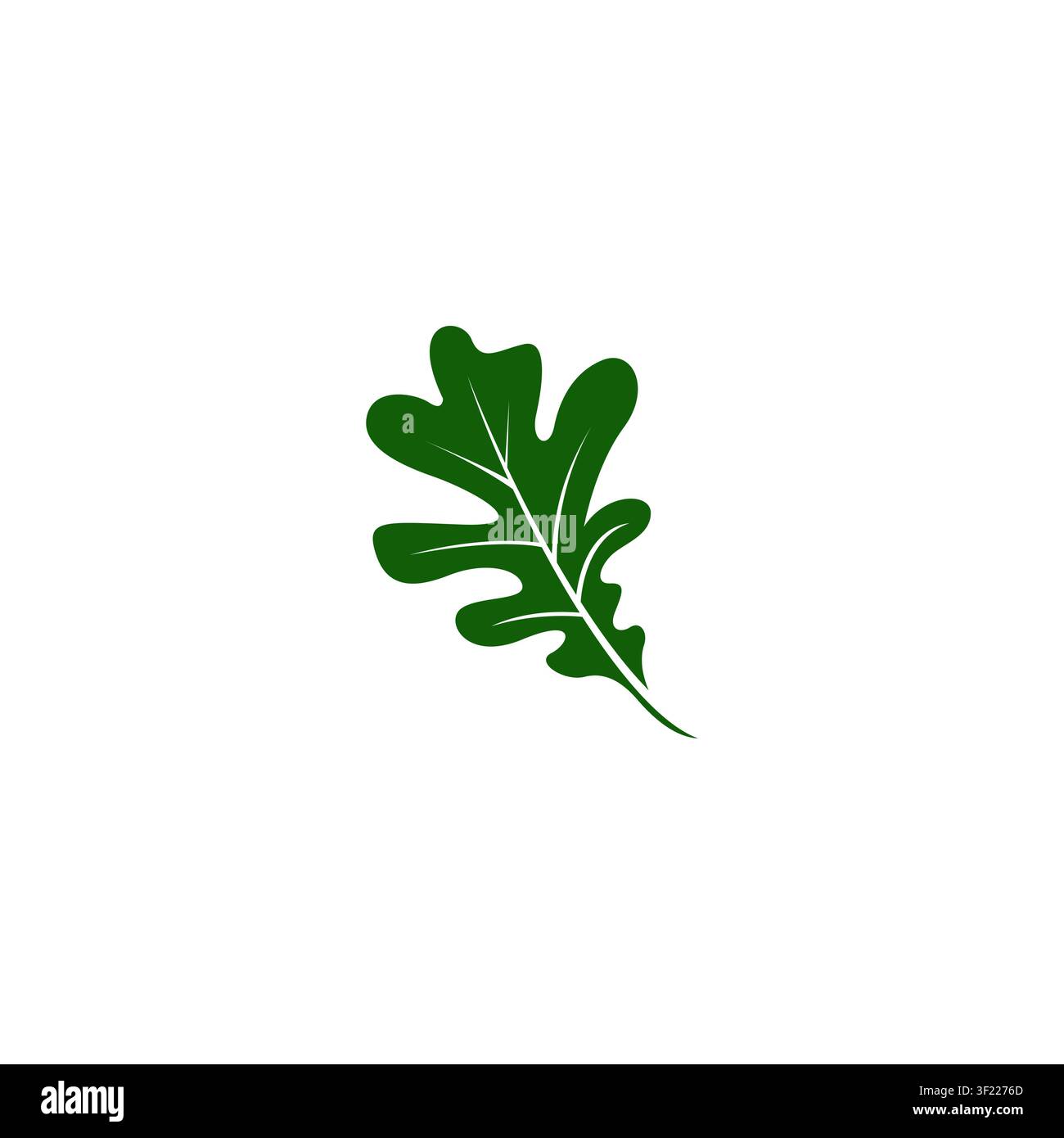 Oak leaf logo Company template design. Oak Icon Vector Stock Vector
