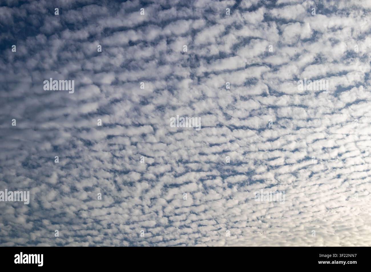 Mackerel sky pattern with rippled cloud formation across blue background Stock Photo