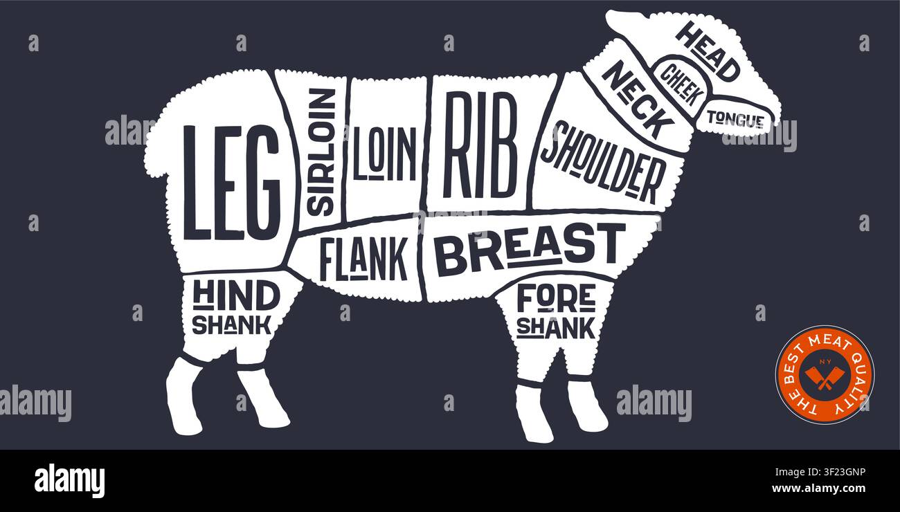 Lamb, sheep, hand-drawn butcher cuts Stock Vector