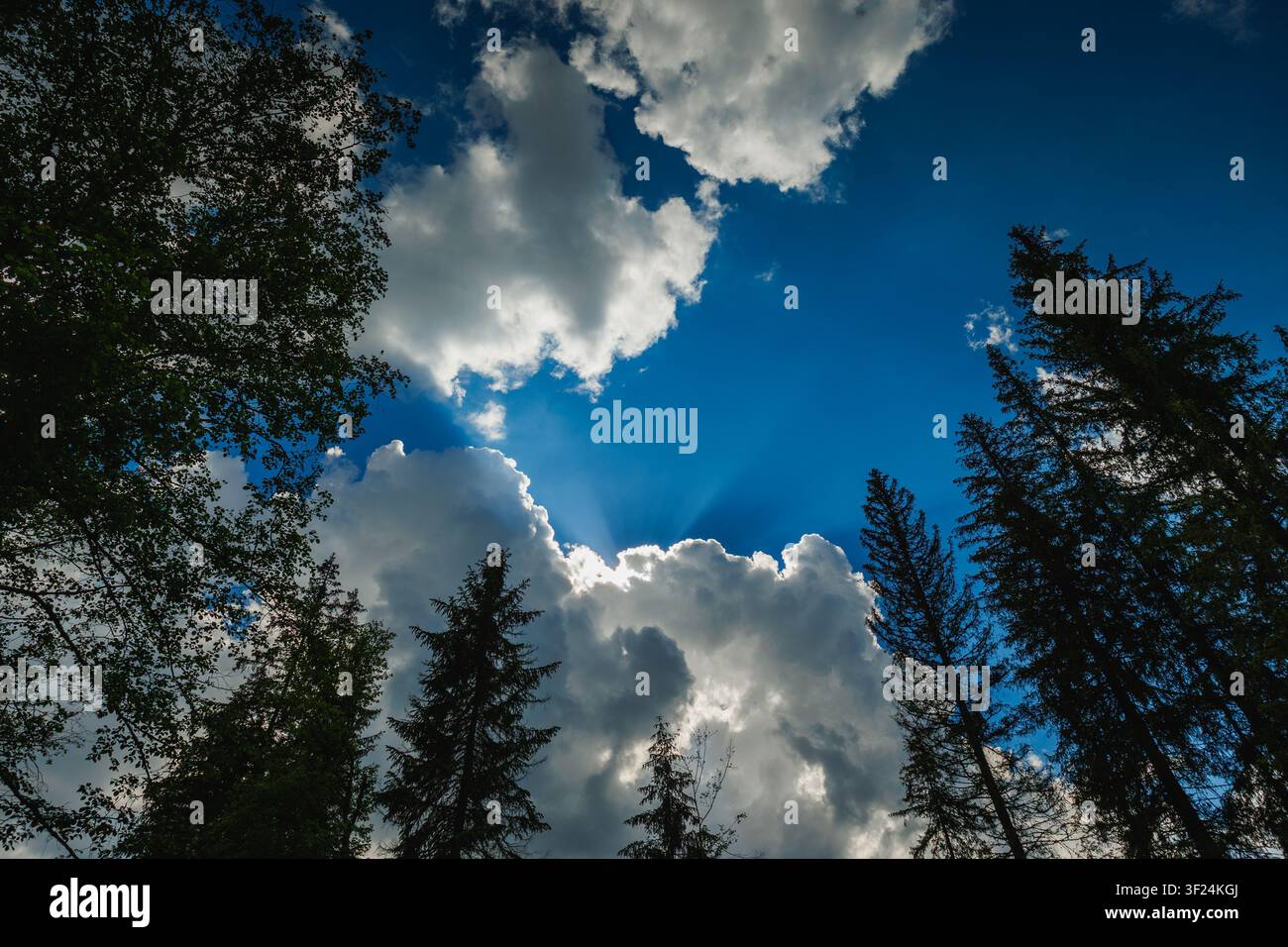 Dramatic blue sky with sun rays shining through fluffy white clouds Stock Photo