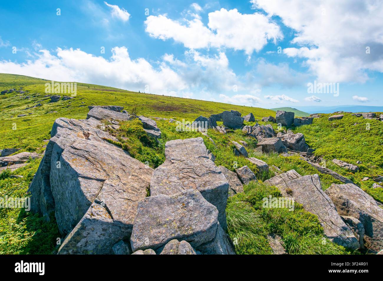 alpine grassy meadow. carpathian mountains landscape with huge boulders. alpine nature scenery of ukraine highlands in summer. view of remote place in Stock Photo