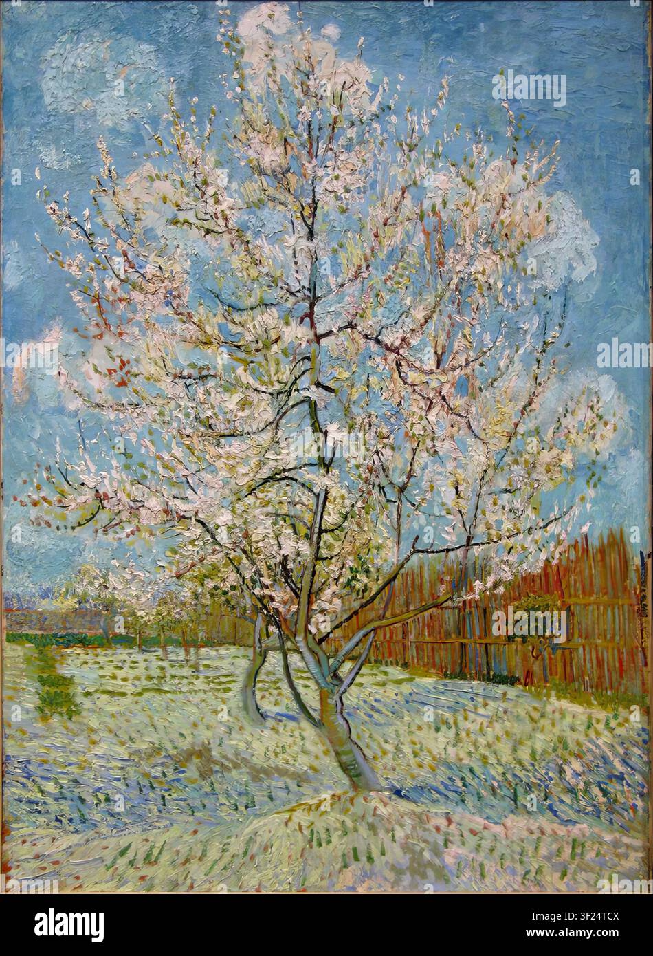 The pink peach tree vincent van gogh hi-res stock photography and