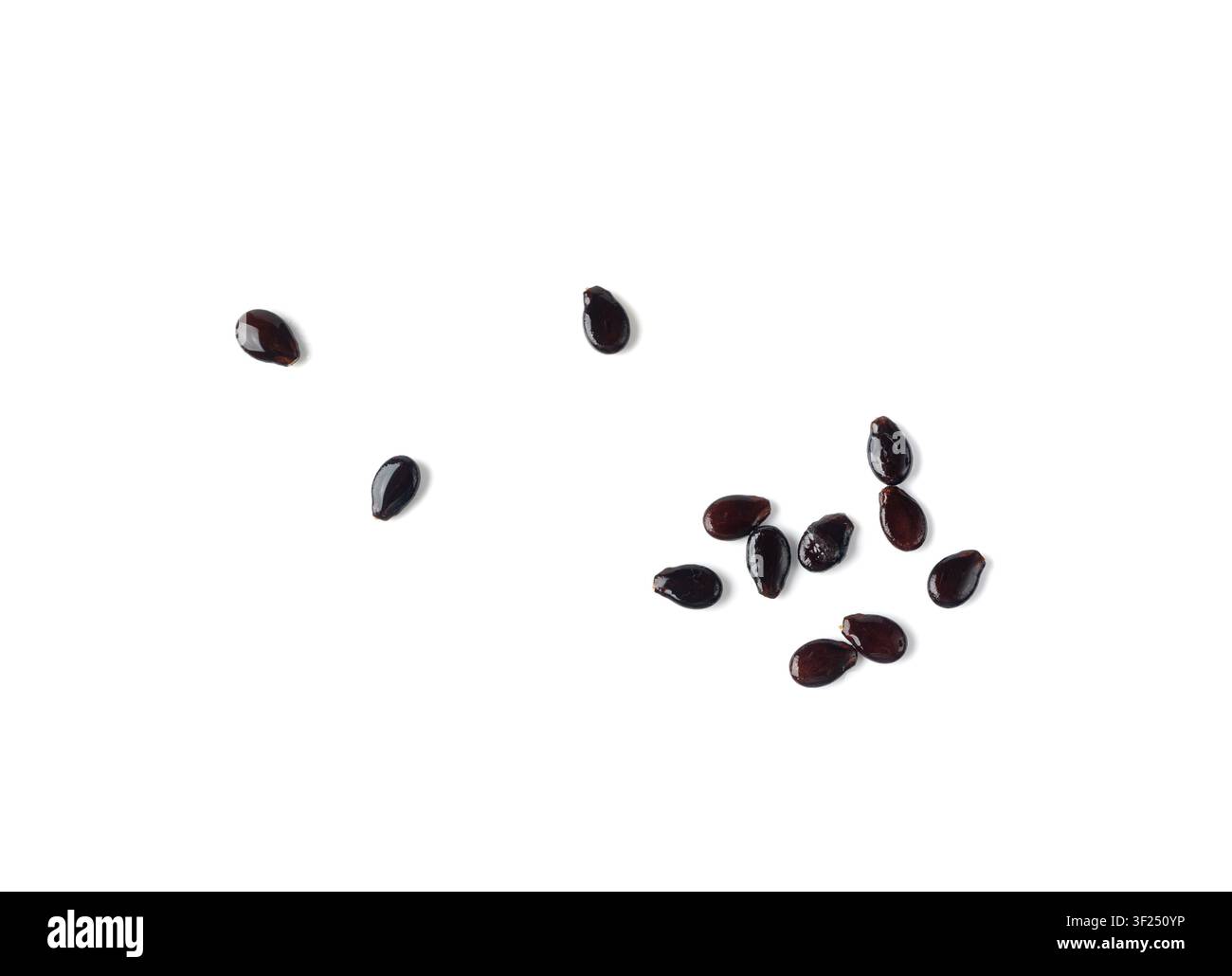 Watermelon Seeds Isolated, Water Melon Black Seed Pile, Small Black Kernels, Raw Scattered Watermelon Seeds on White Background Stock Photo