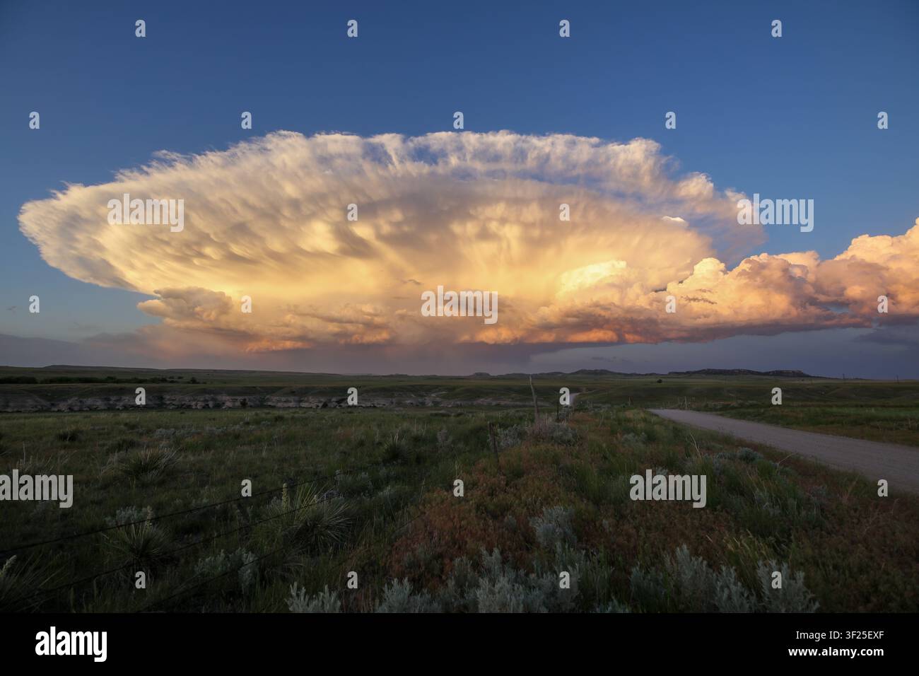 Massive anvil-shaped thunderstorm cloud forming over open grasslands and a rural road. Stock Photo