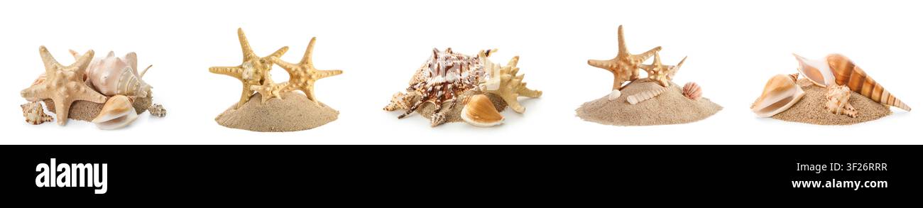 Assorted seashells and starfish on sand isolated on white Stock Photo
