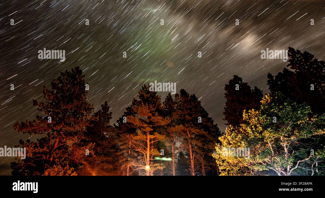 Long exposure star trails over campfire lit trees Stock Photo