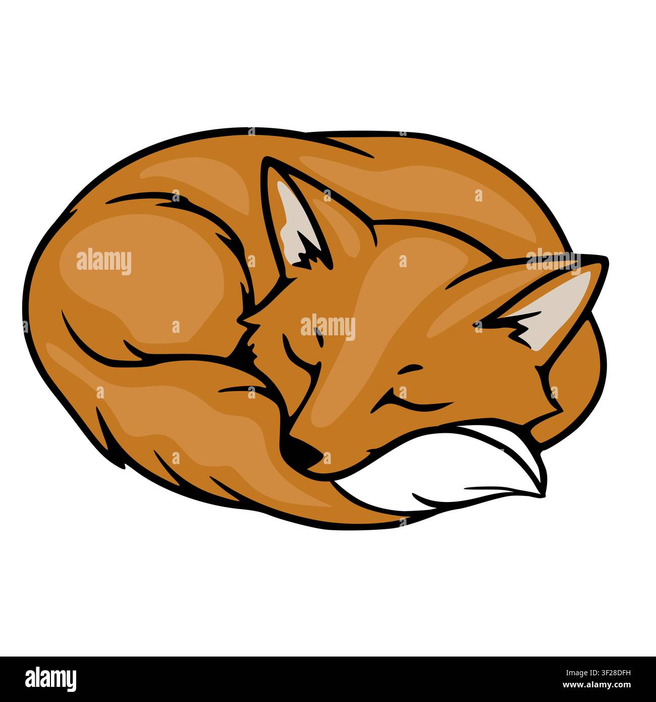 Sleeping fox illustration, cute curled red fox vector isolated on white background Stock Vector