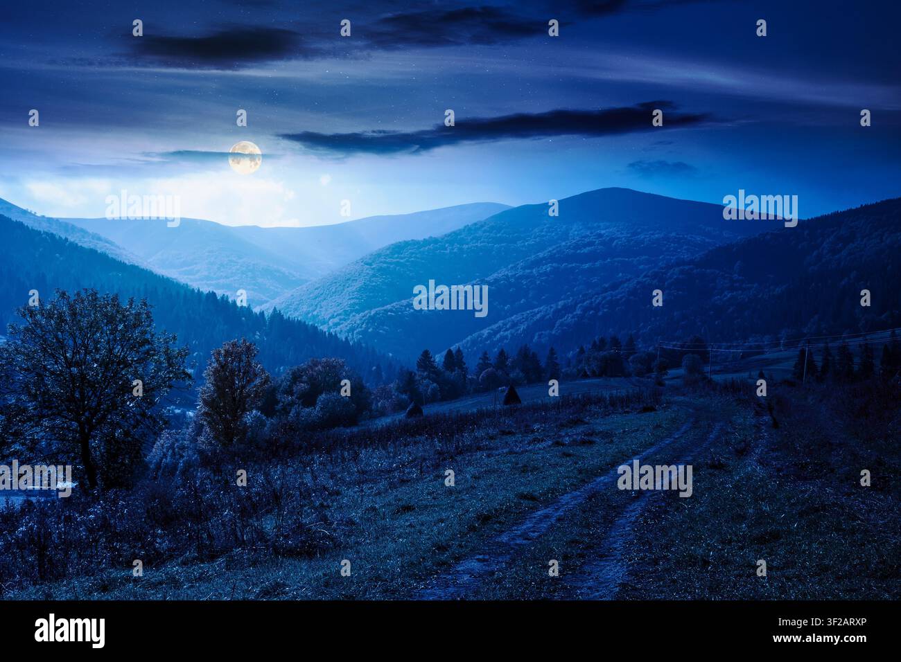 countryside mountain landscape in autumn. weathered grassy field on a hill near forest. rural night background. alpine highland of ukraine in full moo Stock Photo