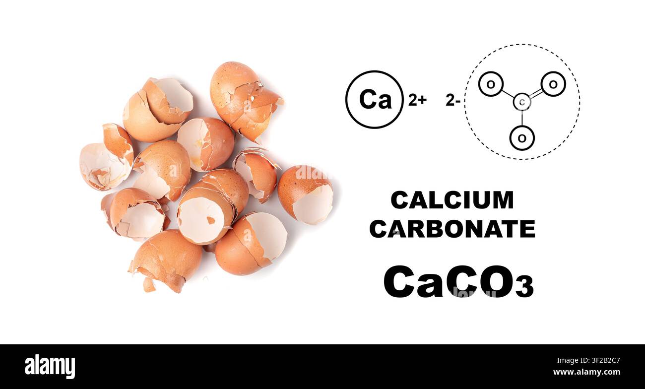 Broken egg shell as calcium carbonate, crushed eggshell, seashells, CaCO3 supplement, cracked eggshells, natural compost ingredient, broken egg shells Stock Photo
