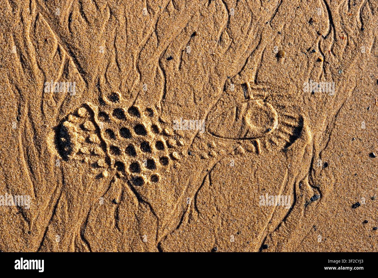 Shoe prints in the sand Stock Photo