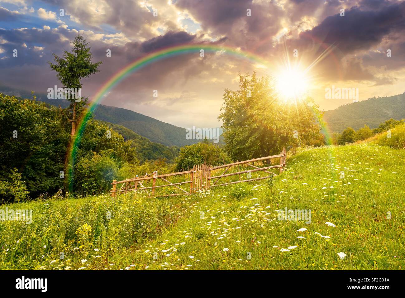 sunset over rural mountain landscape of ukraine. countryside scenery of transcarpathia in summer. forested hills and grassy meadows under cloudy sky Stock Photo