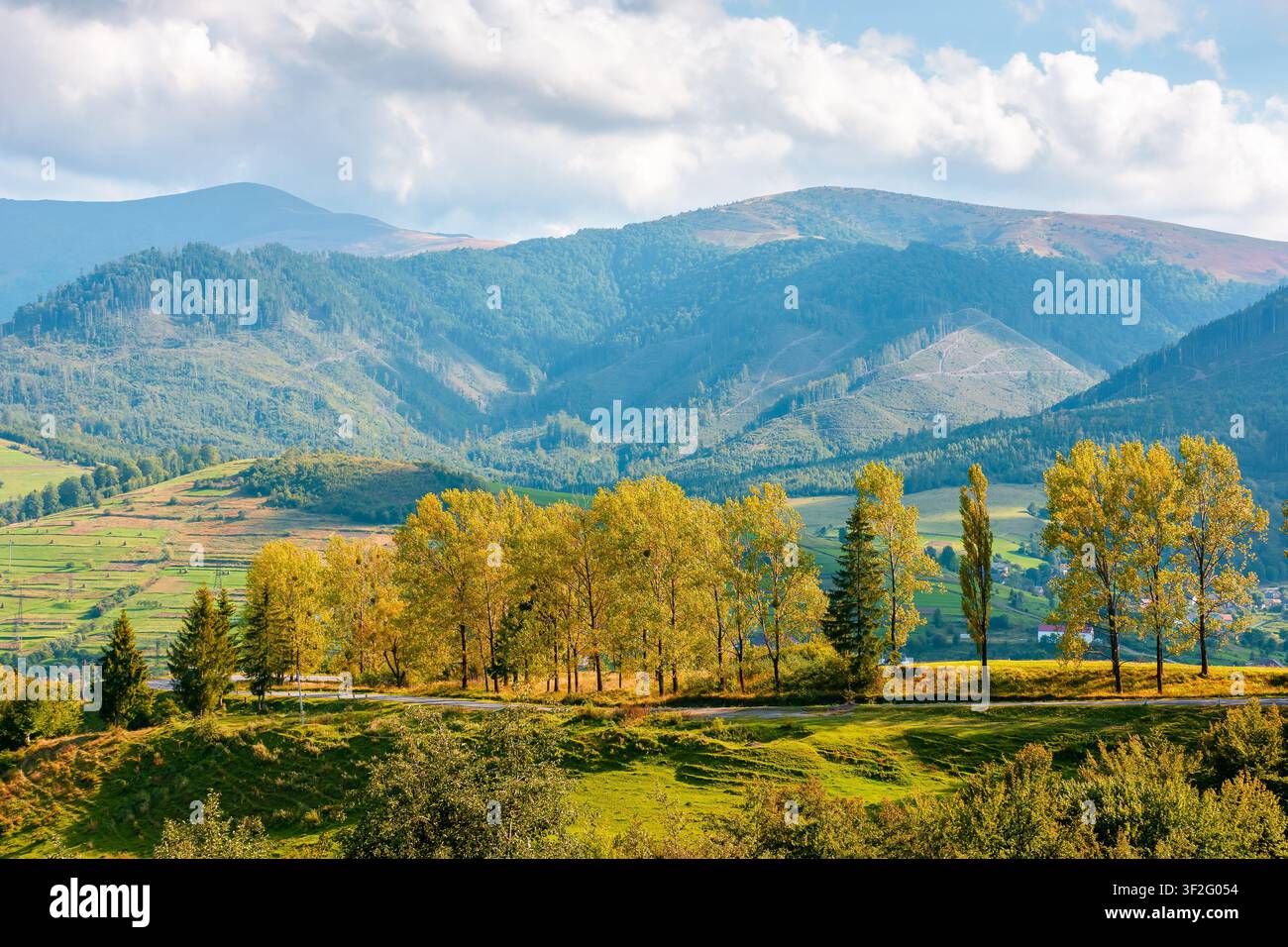 countryside mountain landscape in autumn. scenic rural area of ukraine in fall season. mountain path to volovets town in the valley. sunny afternoon Stock Photo