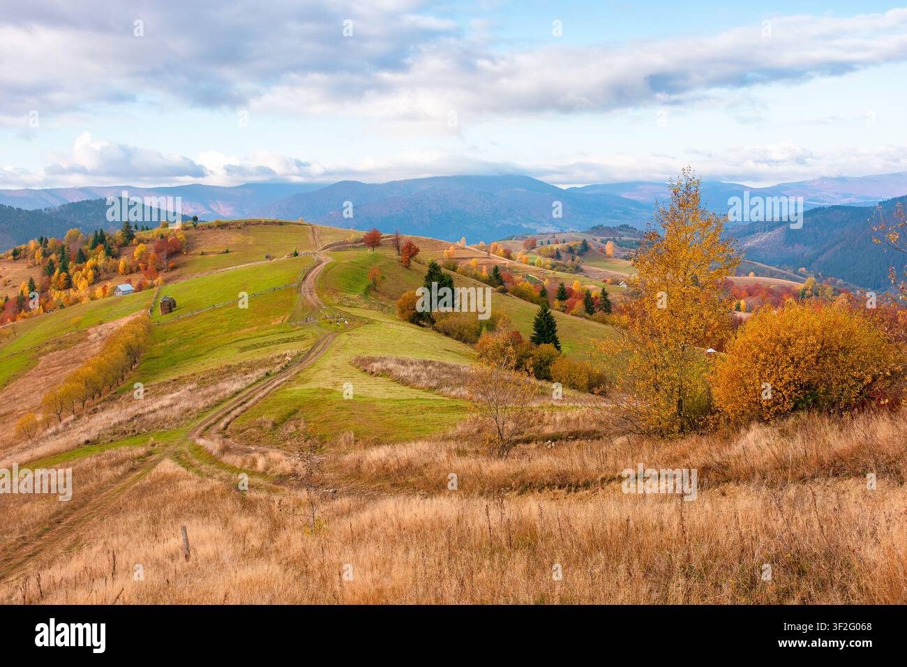 winding rural dirt path through hill. rolling countryside of ukraine in fall color. cloudy morning sky. carpathian mountains in autumn Stock Photo