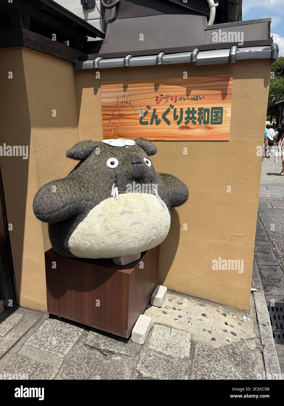 写真・グラフィック donguri.m Donguri hi-res stock photography and images - Alamy