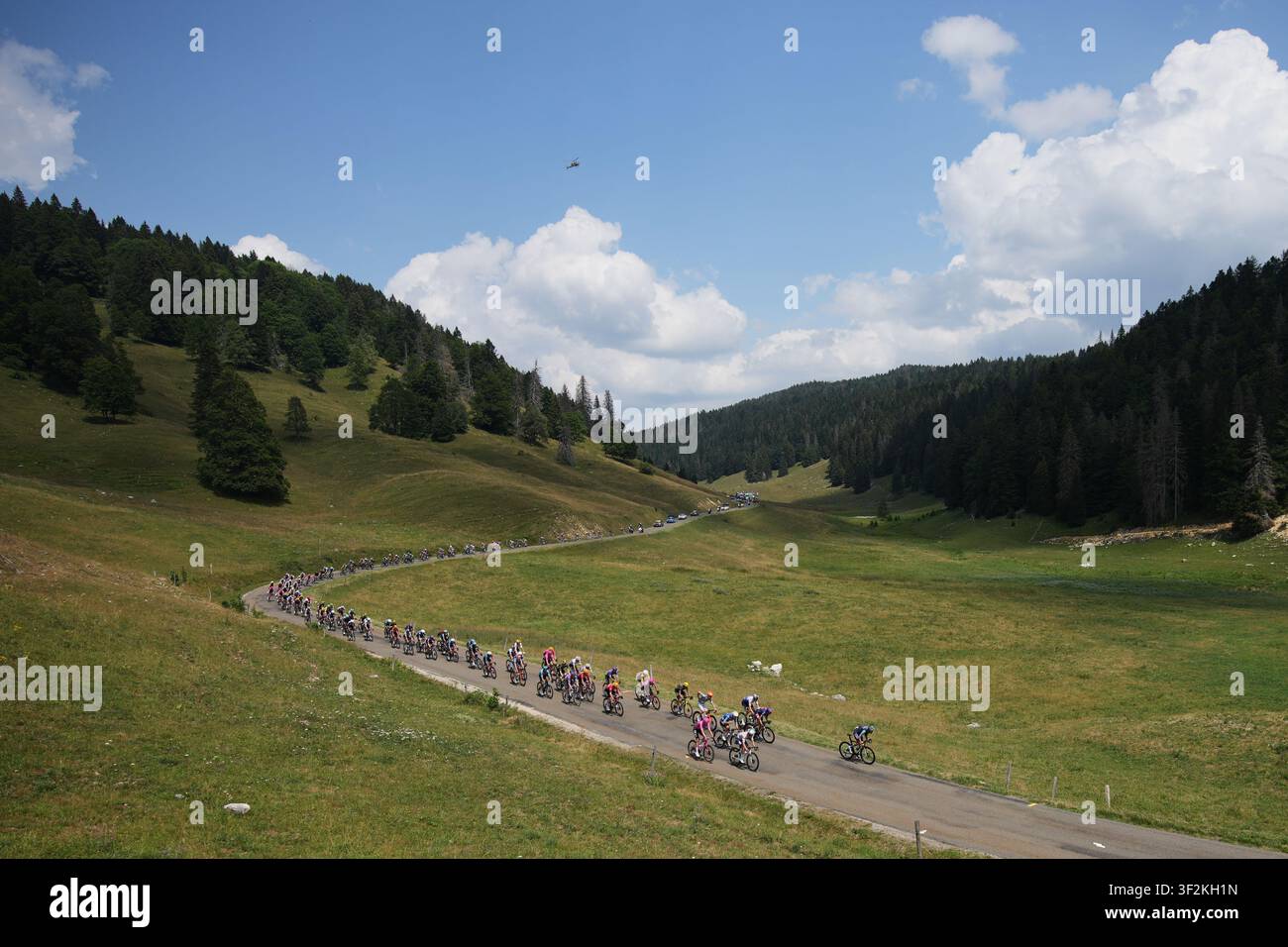 The Pack Rides During The Fifteenth Stage Of The Tour De France Cycling the-pack-rides-during-the-fifteenth-stage-of-the-tour-de-france-cycling