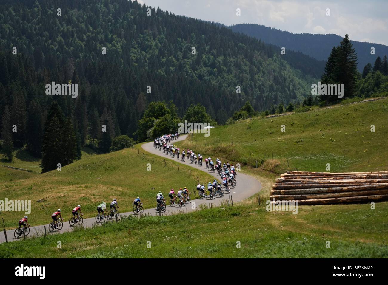 The Pack Rides During The Fifteenth Stage Of The Tour De France Cycling the-pack-rides-during-the-fifteenth-stage-of-the-tour-de-france-cycling
