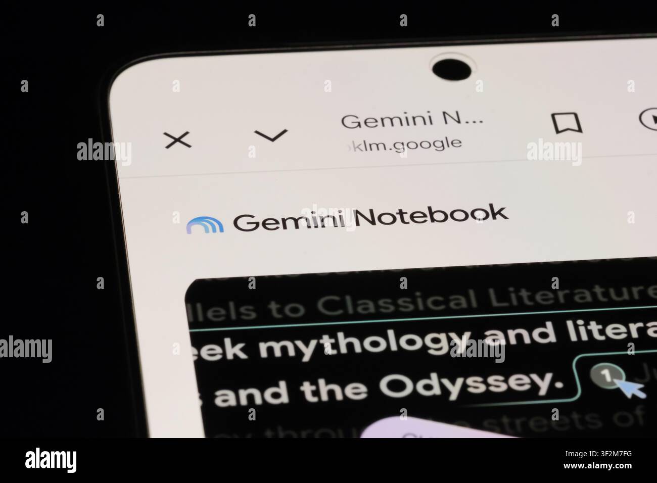 Shanghai, China- July 19th 2026: Gemini Notebook brand logo on website Stock Photo