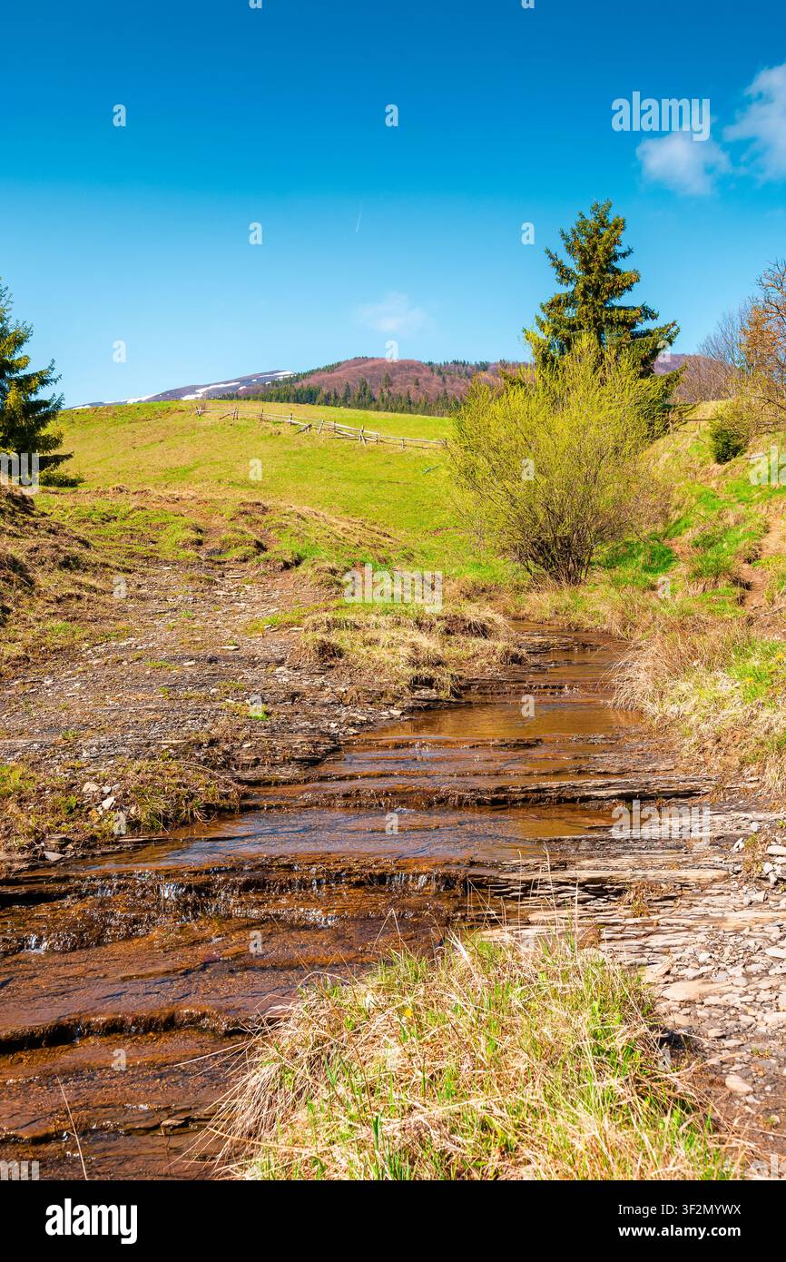 rural scenery in carpathian mountains of ukraine. simple view of a countryside mountain landscape during sunny forenoon in springtime. brook near the Stock Photo