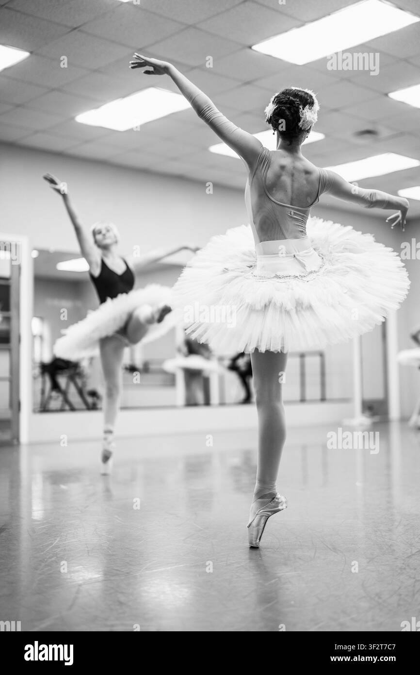 Ballerinas practicing ballet in dance studio Stock Photo