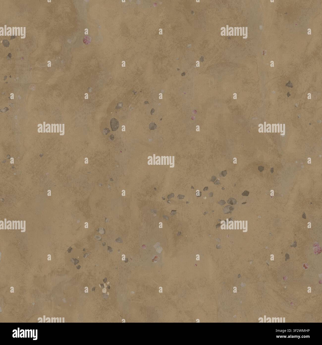 An overhead view of sandy ground featuring small pebbles and scattered tiny white and pink shell fragments. Stock Photo