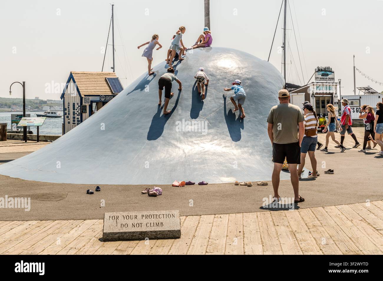 Children are climbing ‘The Wave’, a sculpture by the artist Donna Hiebert erected in 1988 on the Halifax Waterfront Boardwalk in Halifax, Nova Scotia, Canada, despite a sign reading ‘For your protection, do not climb’. Climbing the sculpture has been a long-standing tradition for decades, which the city council has repeatedly tried to put a stop to. Halifax, Nova Scotia, Canada Stock Photo