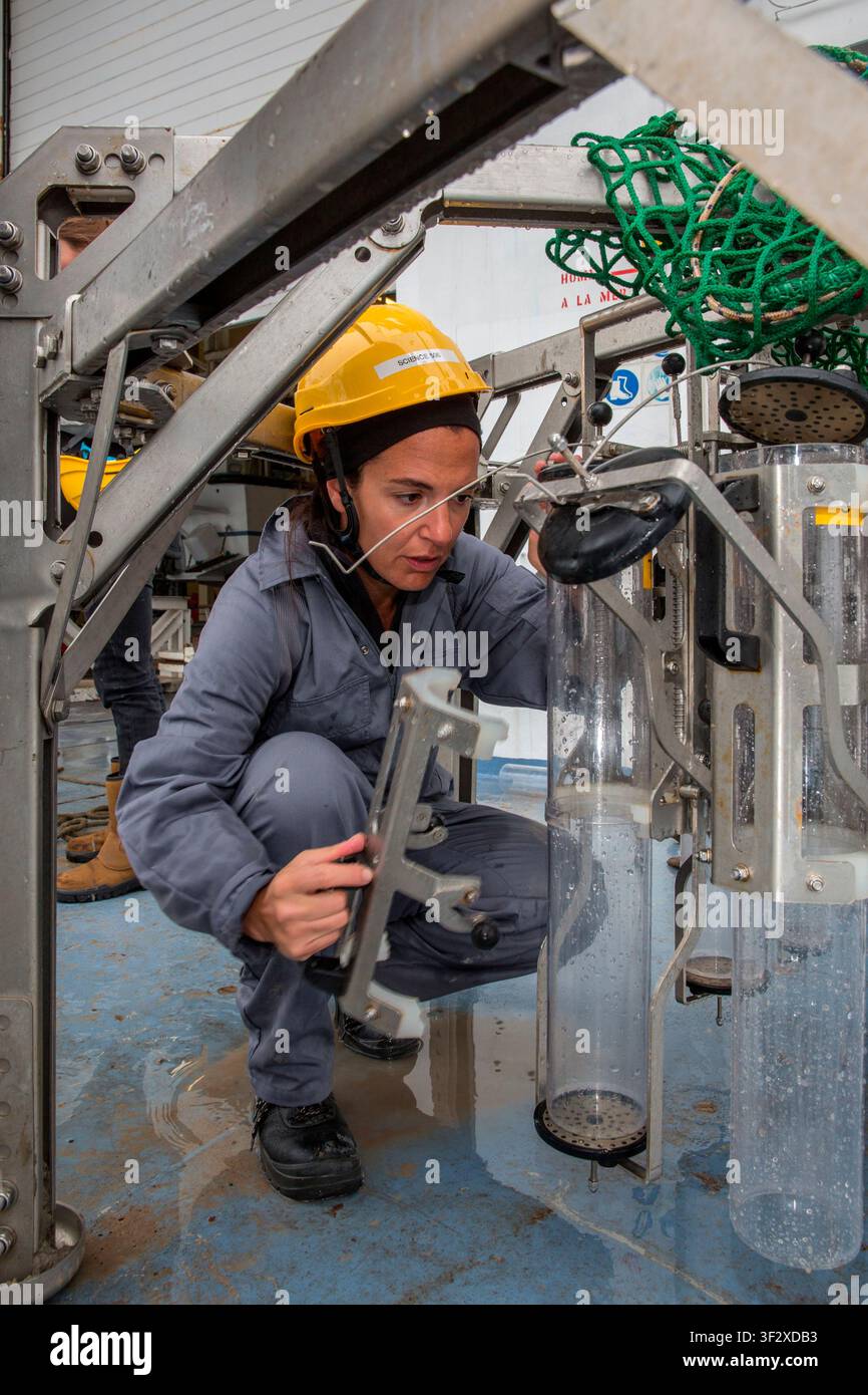 Daniela Zeppilli A biologist with a doctorate in marine biology and ecology, she is also a researcher in benthic ecology and responsible for the Deep Stock Photo