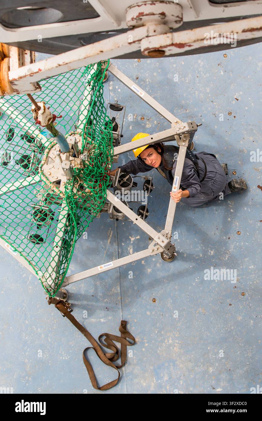 Daniela Zeppilli A biologist with a doctorate in marine biology and ecology, she is also a researcher in benthic ecology and responsible for the Deep Stock Photo