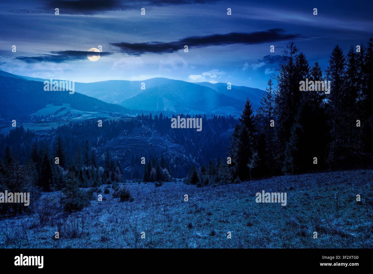 countryside mountain landscape in autumn. weathered grassy field on a hill near forest. rural night background. alpine highland of ukraine in full moo Stock Photo