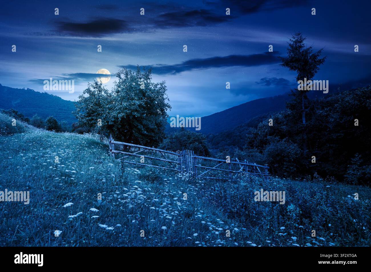 rural mountain landscape of ukraine at night. countryside scenery of transcarpathia in summer. forested hills and grassy meadows under dark sky in ful Stock Photo