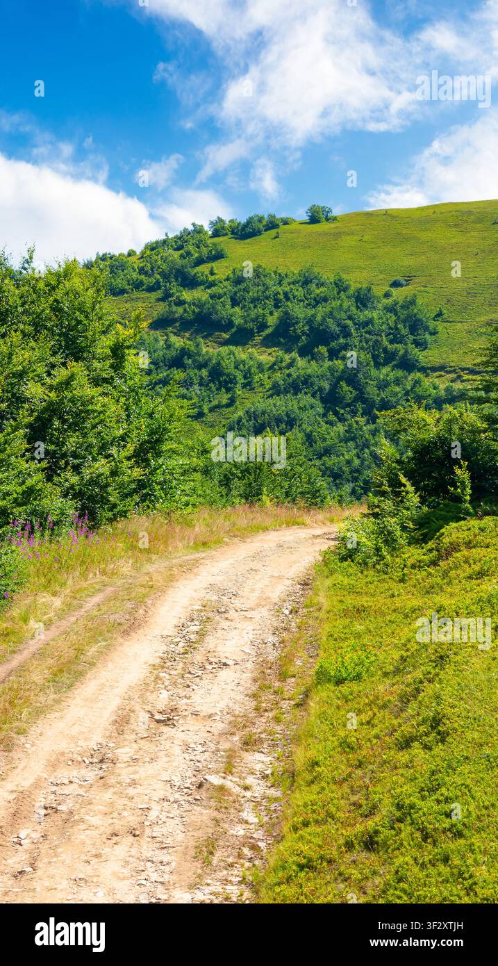 hiking path in carpathian mountains. alpine nature of transcarpathia in summer. ukraine mountain landscape for travel. views of borzhava ridge Stock Photo