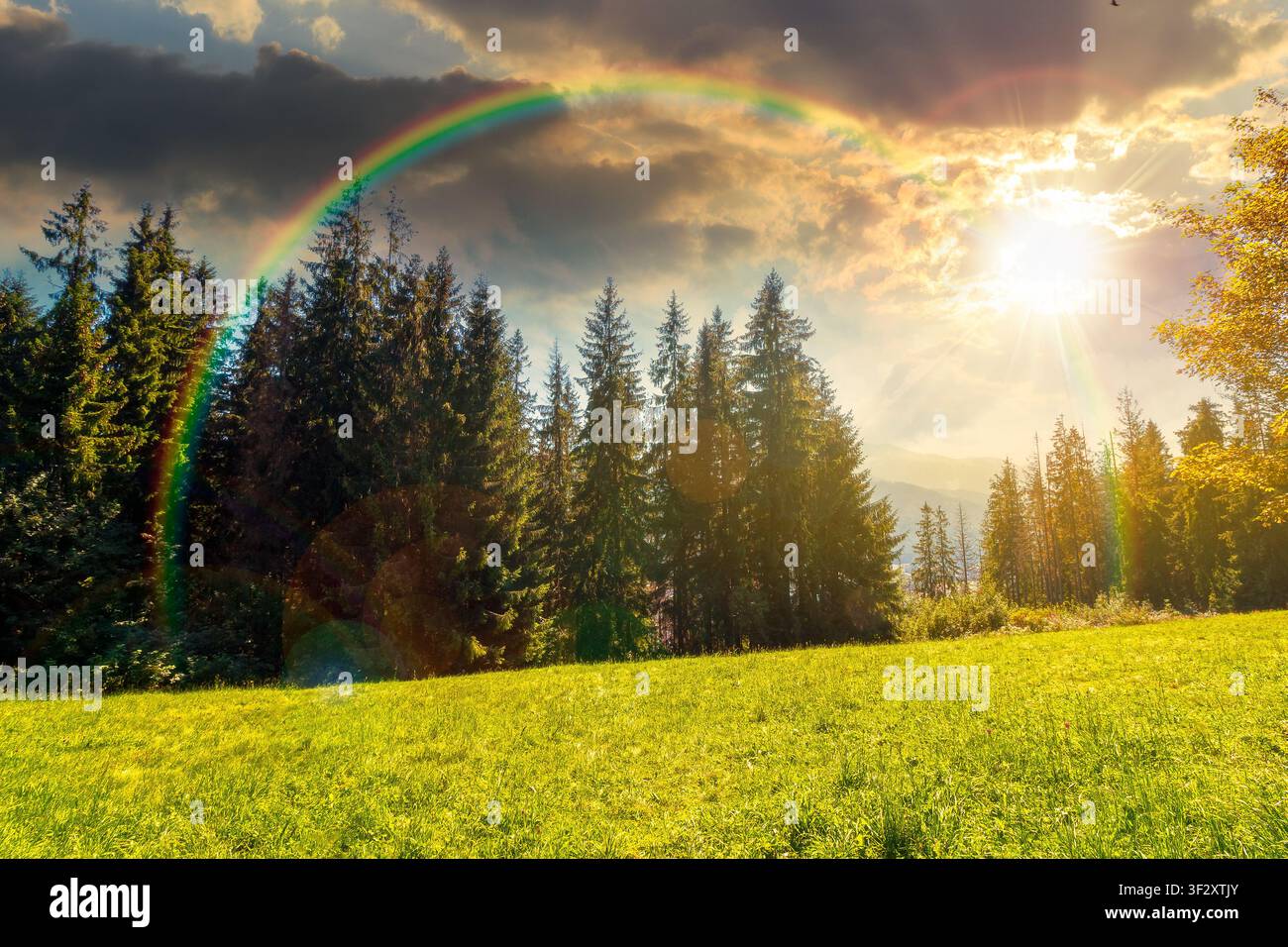 sunset over landscape with coniferous forest in summer. scenic view of mountain landscape in poland. spruce trees on a grassy alpine meadow. cloudy sk Stock Photo