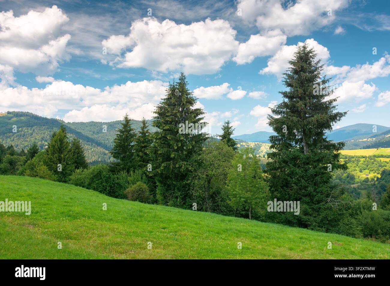countryside mountain landscape of ukraine. rural fields and forested hills on a sunny day. remote place of mizhhirya district in transcarpathia for su Stock Photo