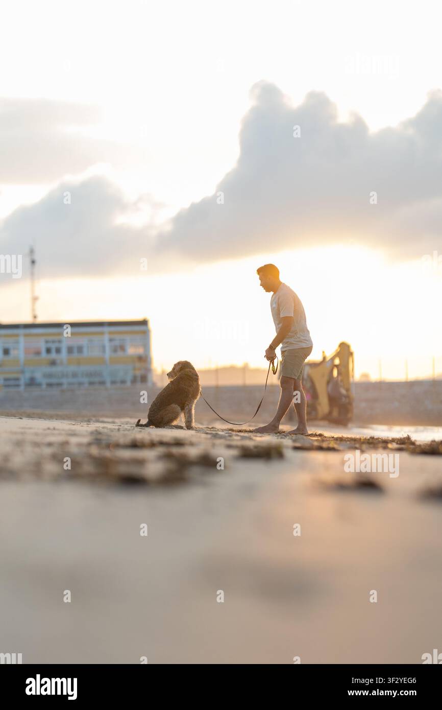 Man walking dog on sandy beach during sunset with soft light illuminating the scene and distant figures visible along the shoreline. Airedale Terrier Stock Photo