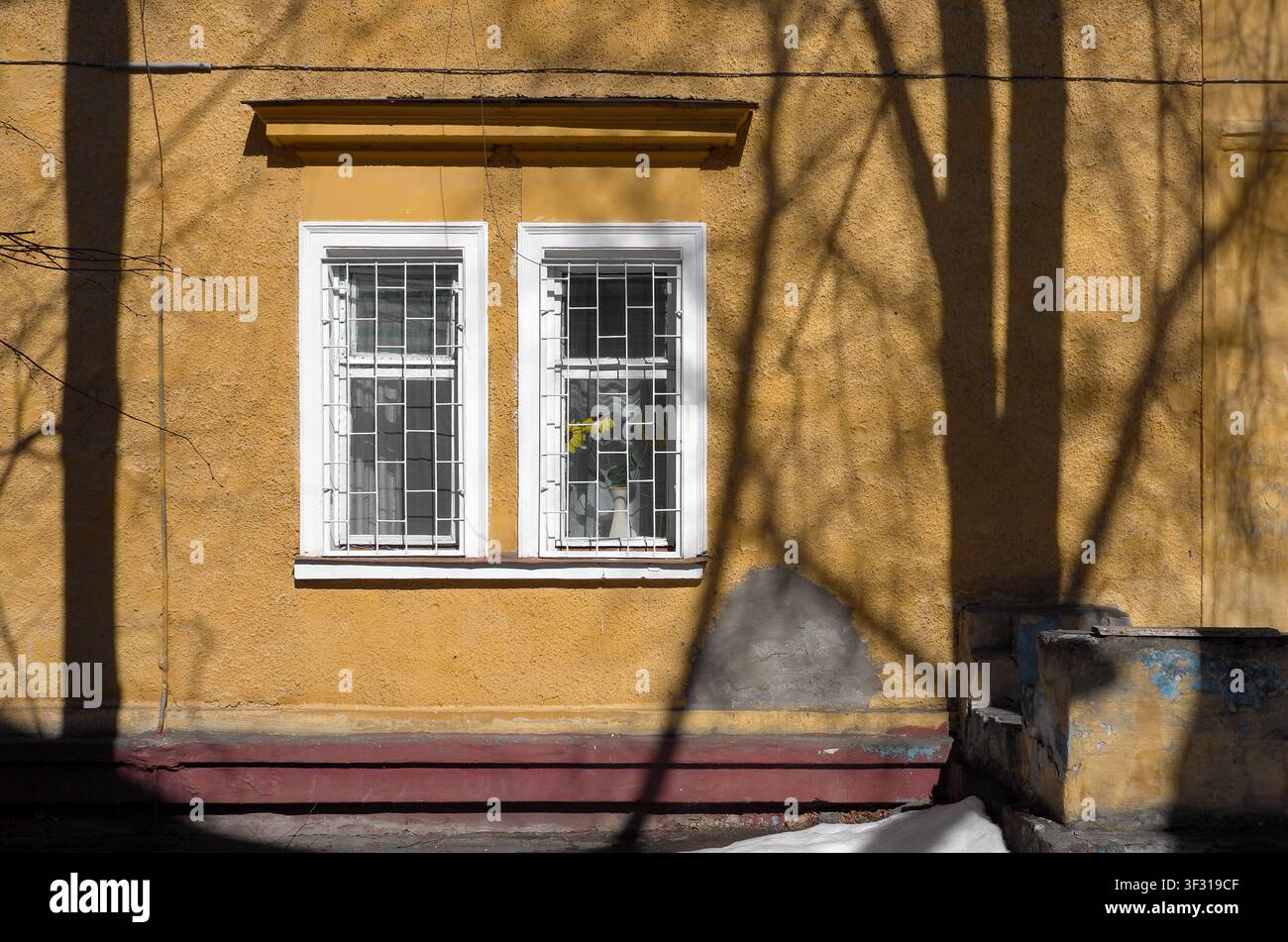 Sunlit yellow stucco facade features a white double window with metal bars, a potted plant inside and dramatic tree shadows. Stock Photo