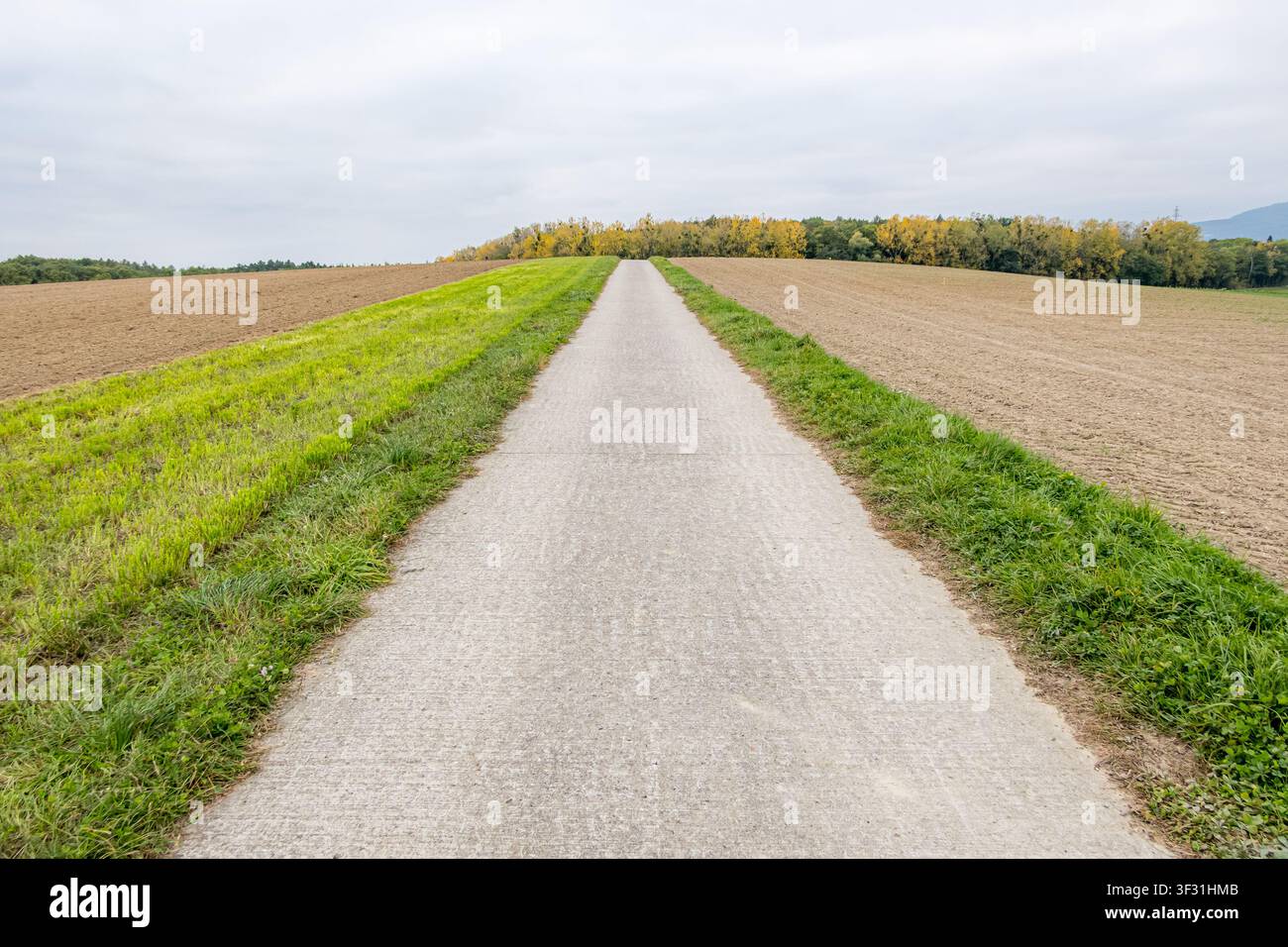 Empty rural road leading through autumn fields and trees Stock Photo