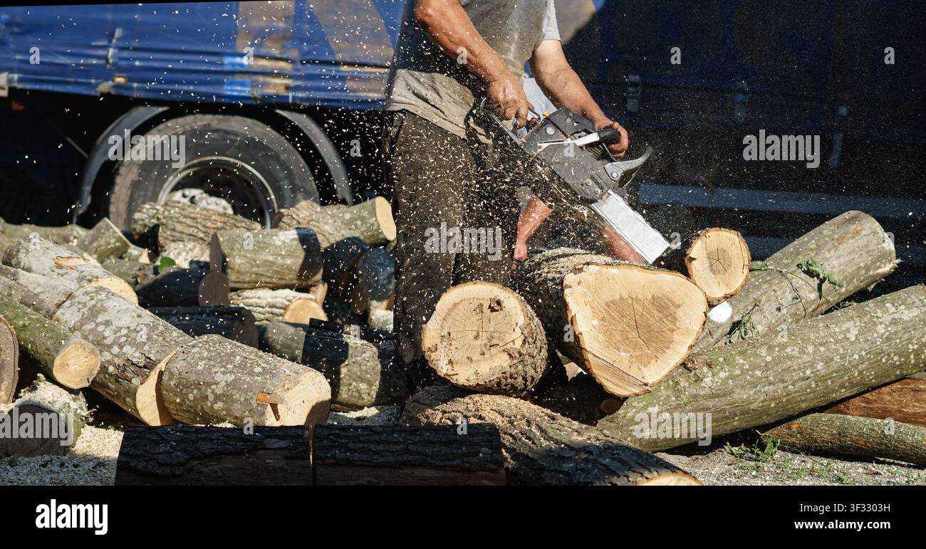 Pile of freshly cut logs in forest, timber industry Stock Photo