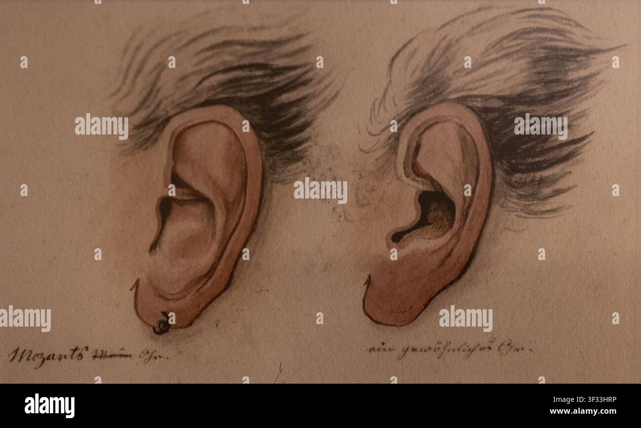 Mozart's ear drawing in comparison with an ordinary ear, drawing of Franz Xaver Wolfgang's ear Stock Photo